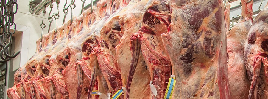 Carcass meat trade